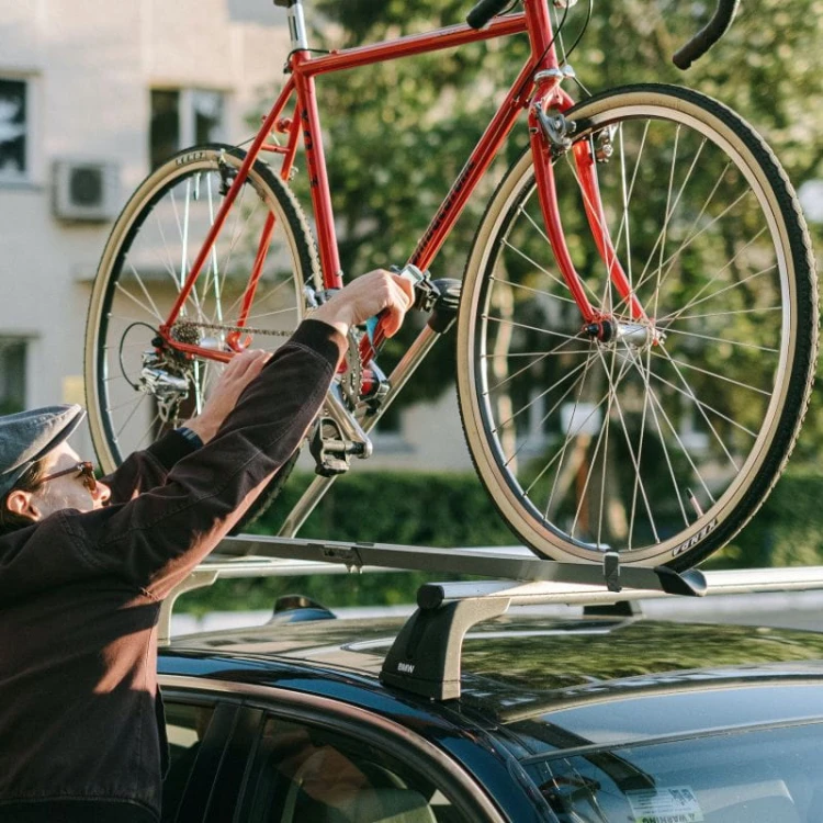 Pasy mocujące z klamrą pasy bagażowe TransportFix 4 x 60cm Alca