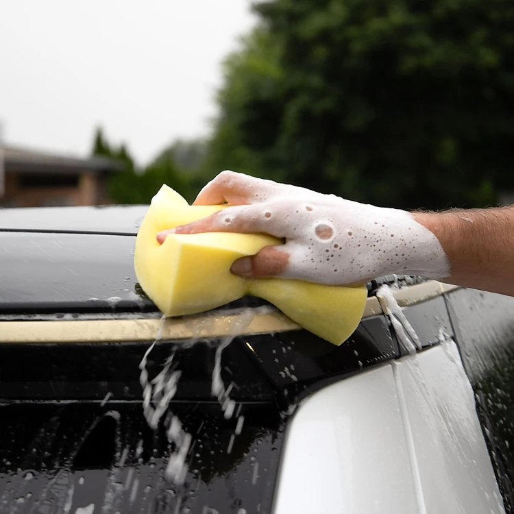 Gąbka czyszcząca MicroCleaner M Alca