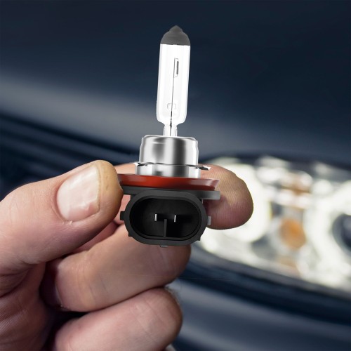 Żarówka halogenowa H11 12V 55W START Alca