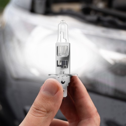 Żarówka halogenowa H1 12V 55W START Alca